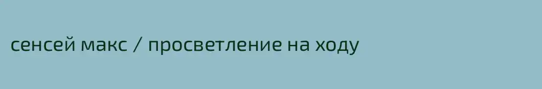сенсей макс / просветление на ходу